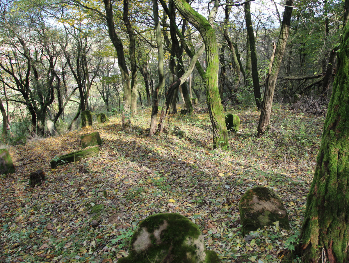 Vysne-Raslavice-Jewish-Cemetery-14