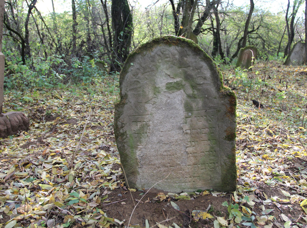 Vysne-Raslavice-Jewish-Cemetery-15