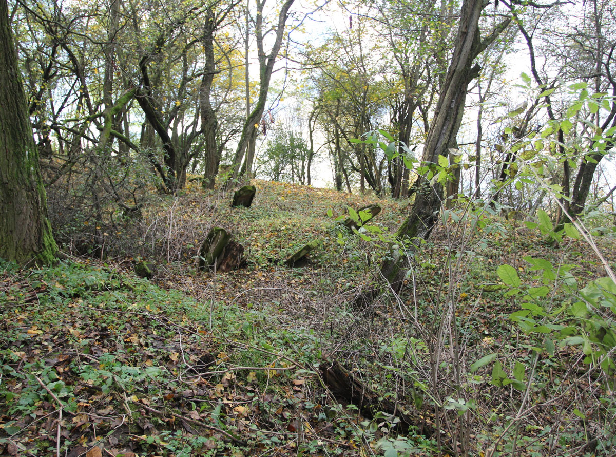 Vysne-Raslavice-Jewish-Cemetery-4