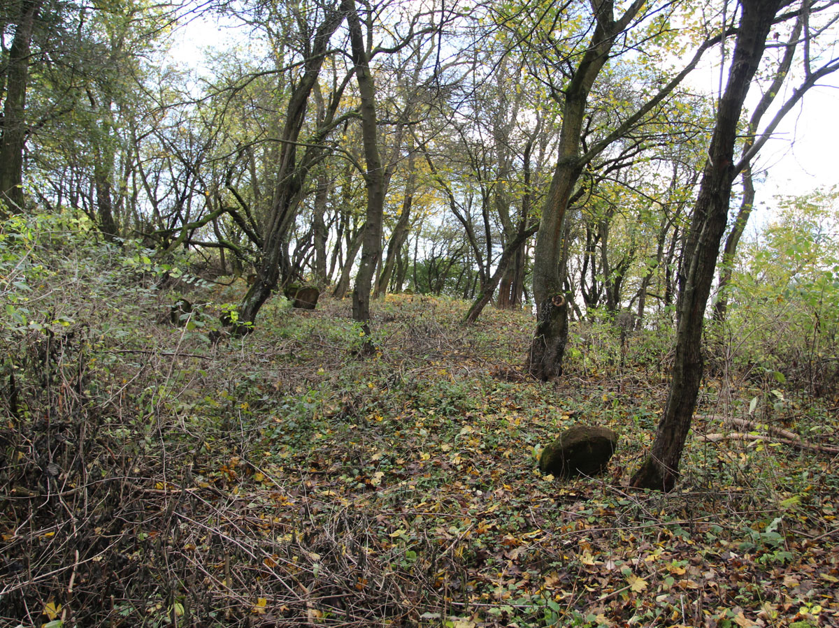 Vysne-Raslavice-Jewish-Cemetery-6