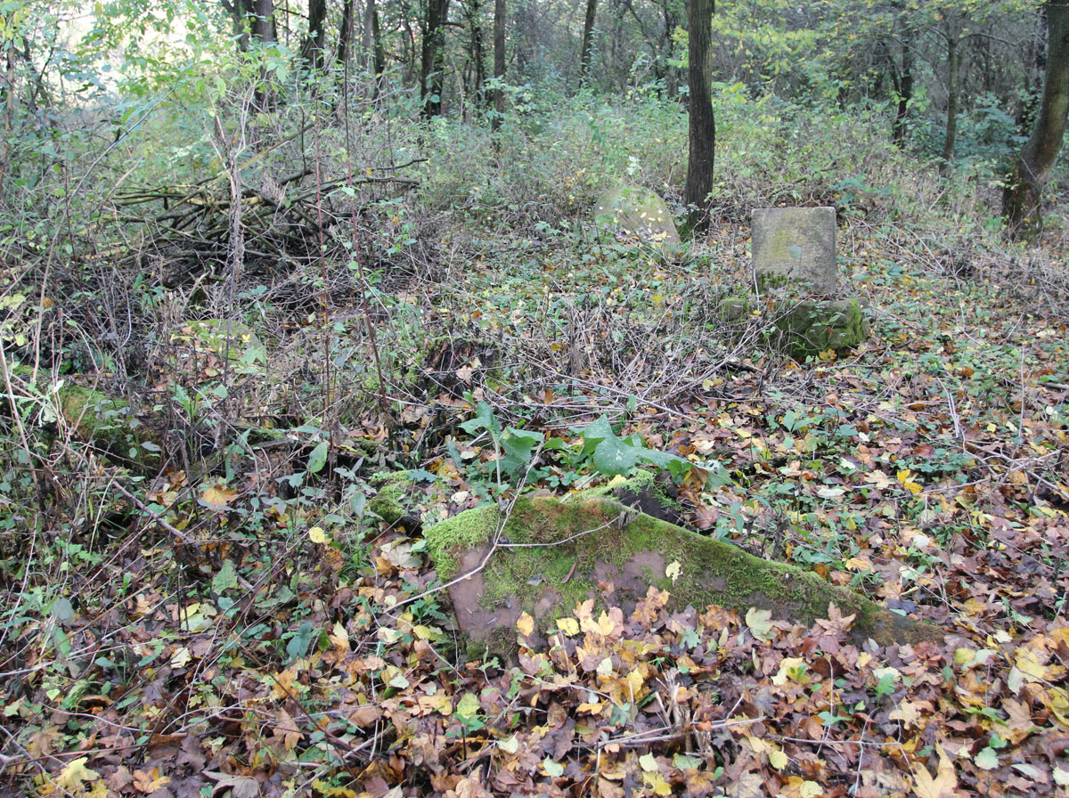 Vysne-Raslavice-Jewish-Cemetery-7