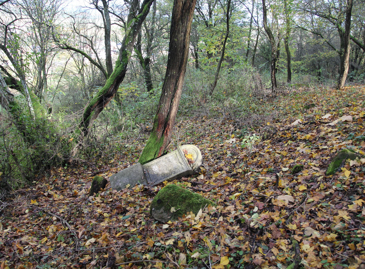 Vysne-Raslavice-Jewish-Cemetery-8