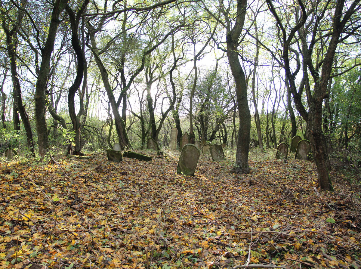 Vysne-Raslavice-Jewish-Cemetery-9