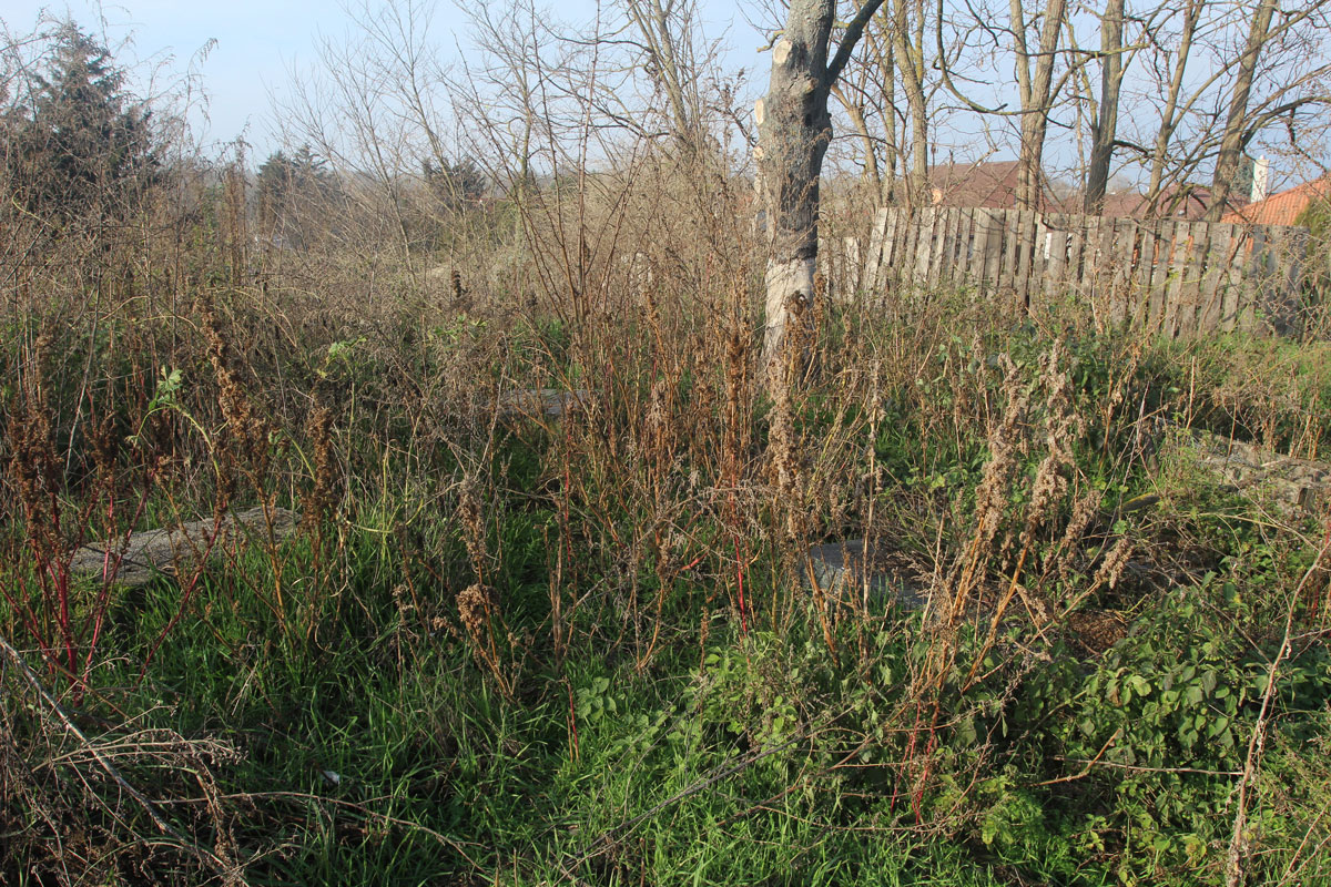 Vysoka-pri-Morave-Jewish-Cemetery-3