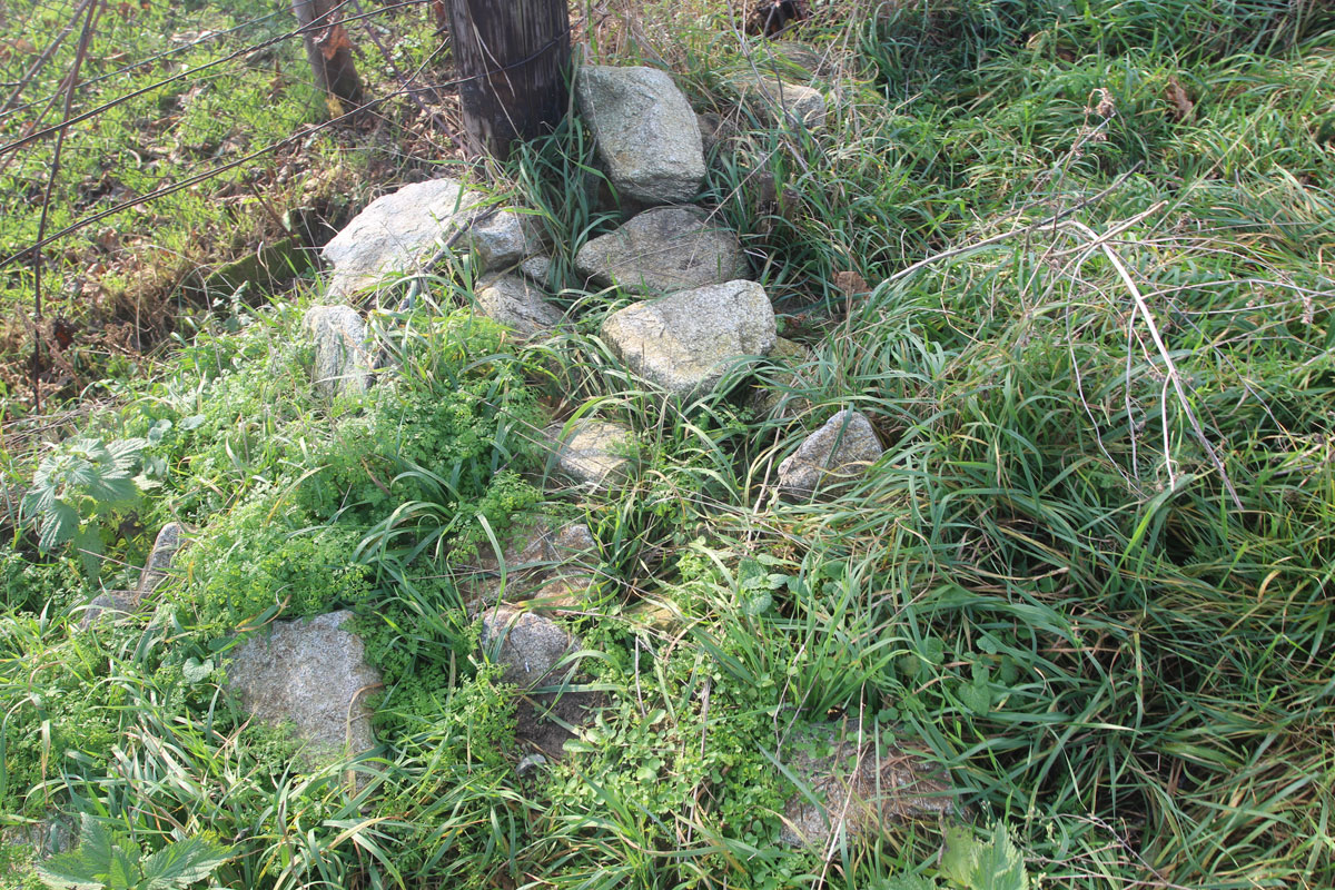Vysoka-pri-Morave-Jewish-Cemetery-4