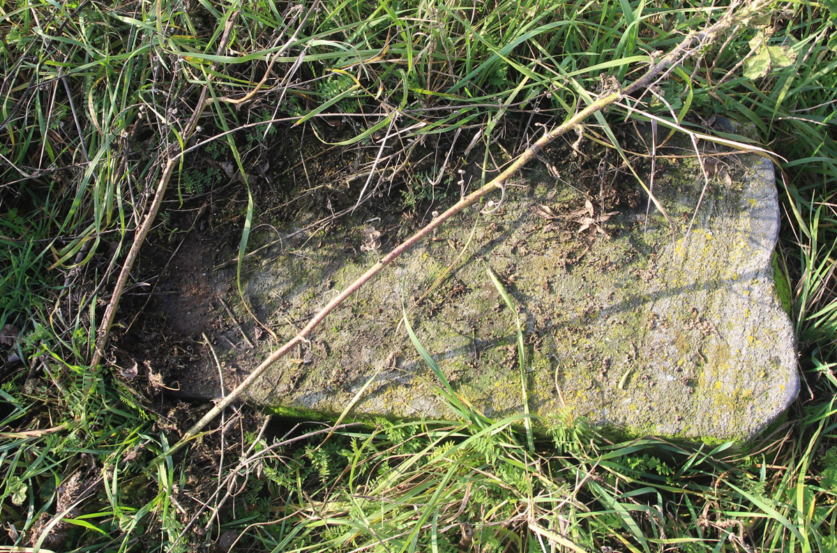 Vysoka-pri-Morave-Jewish-Cemetery-6