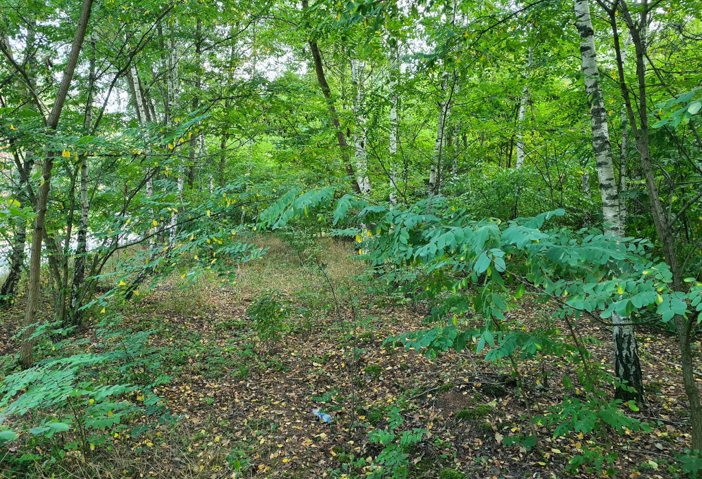 Wronki New Jewish Cemetery