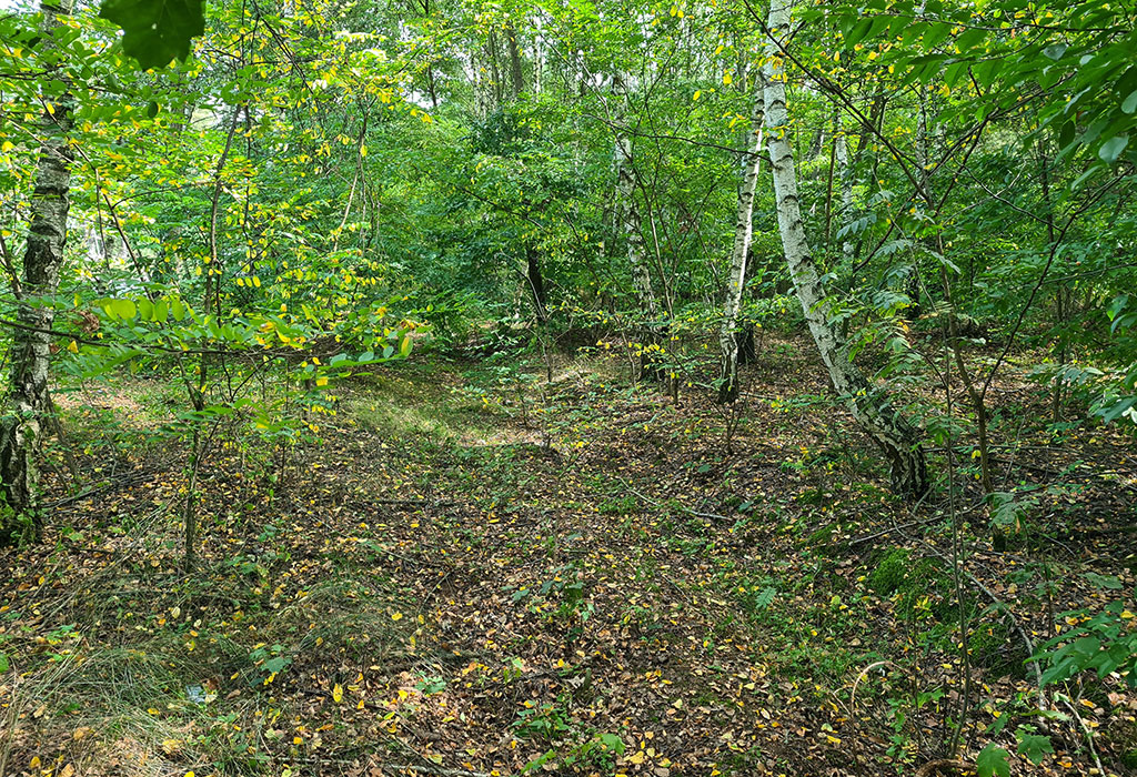 Wronki New Jewish Cemetery