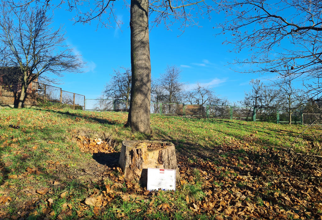 Złotoryja Jewish Cemetery