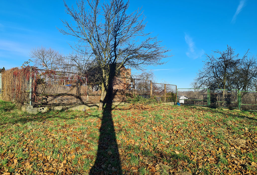 Złotoryja Jewish Cemetery