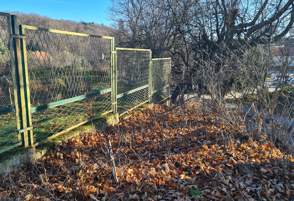 Złotoryja Jewish Cemetery