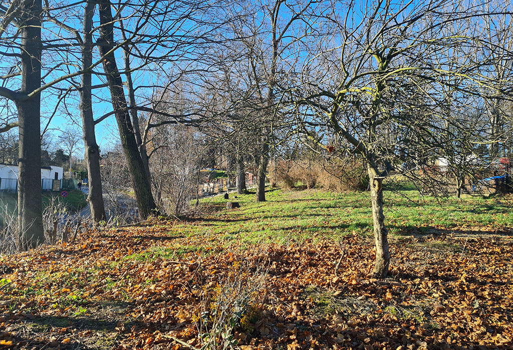 Złotoryja Jewish Cemetery